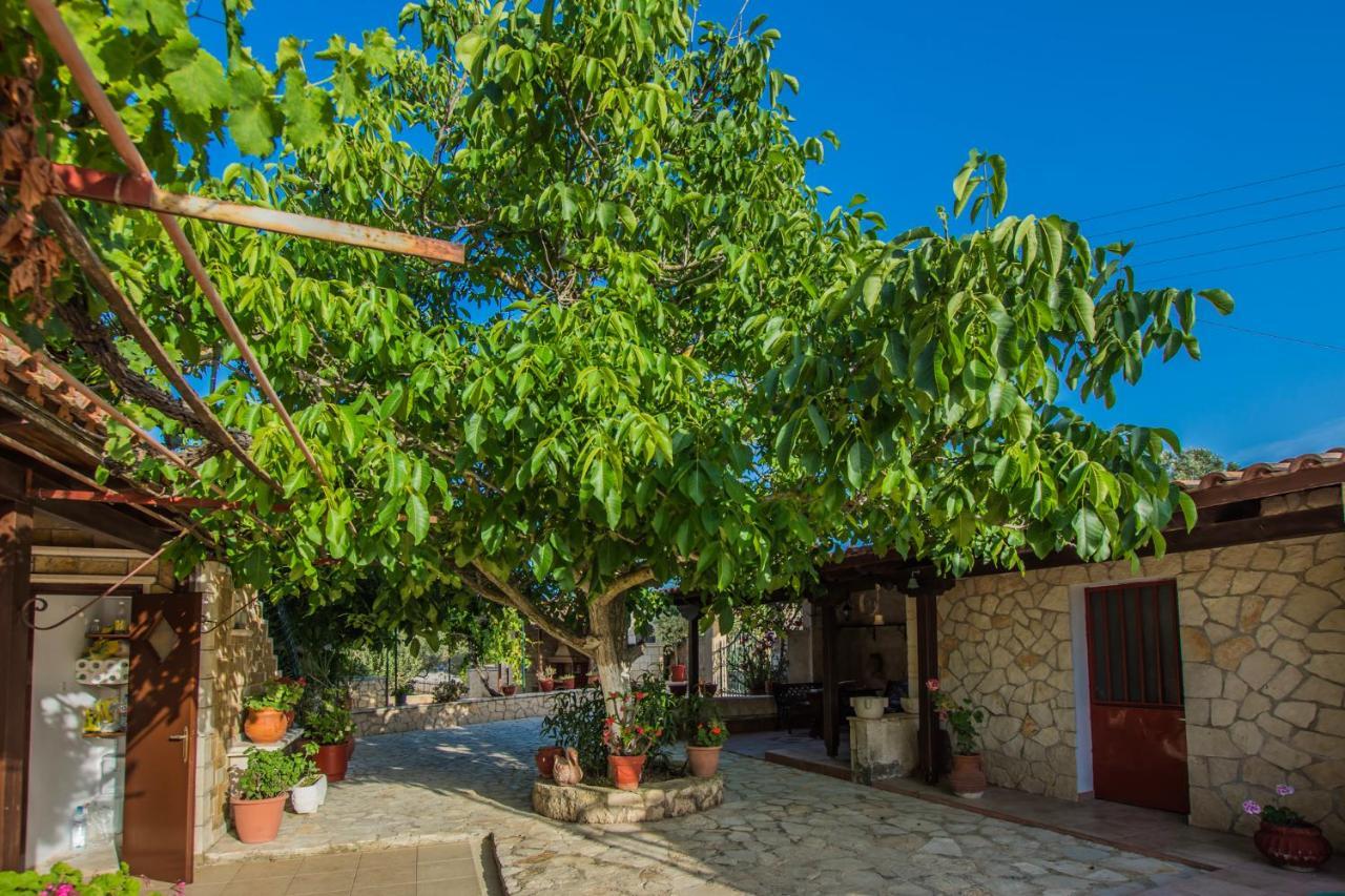 Porto Giardino Apartments Kypseli Exterior photo